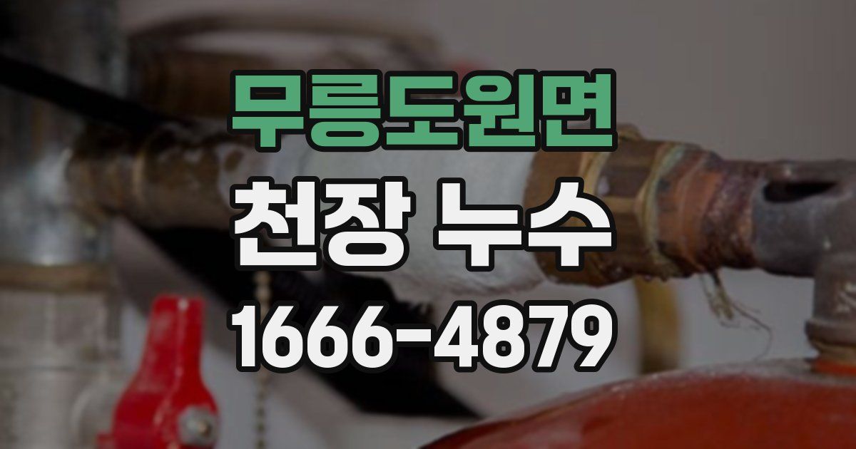 무릉도원면 천장 누수