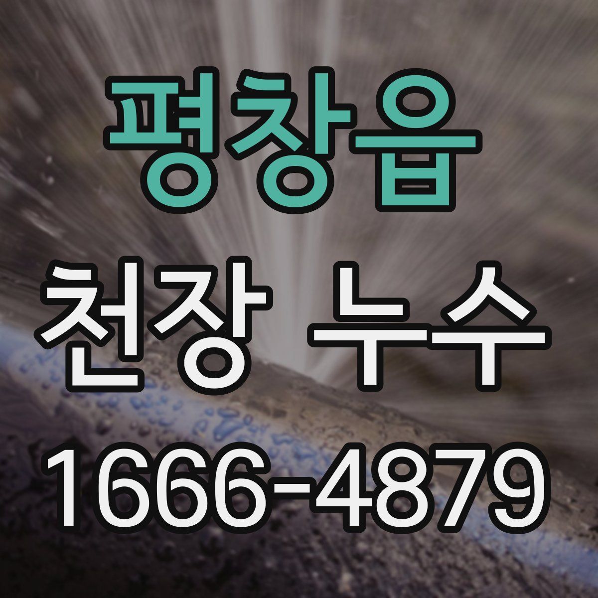 평창읍 천장 누수