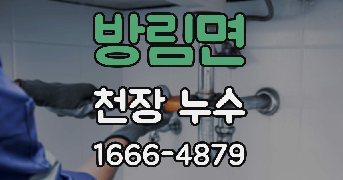 방림면 천장 누수