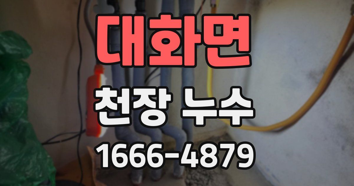 대화면 천장 누수