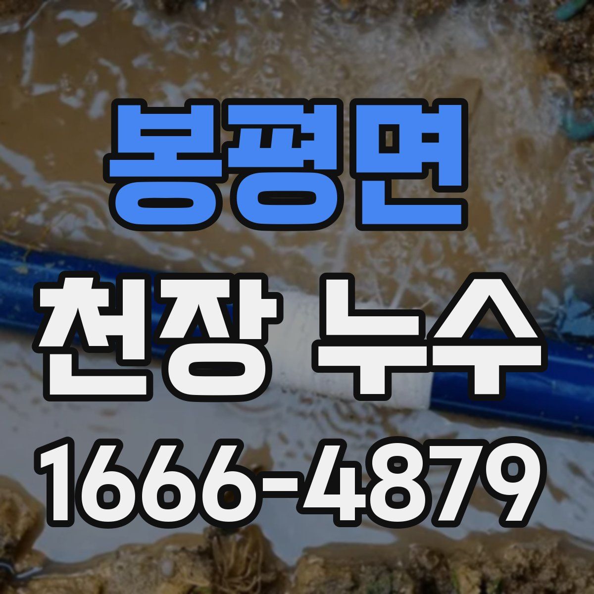 봉평면 천장 누수