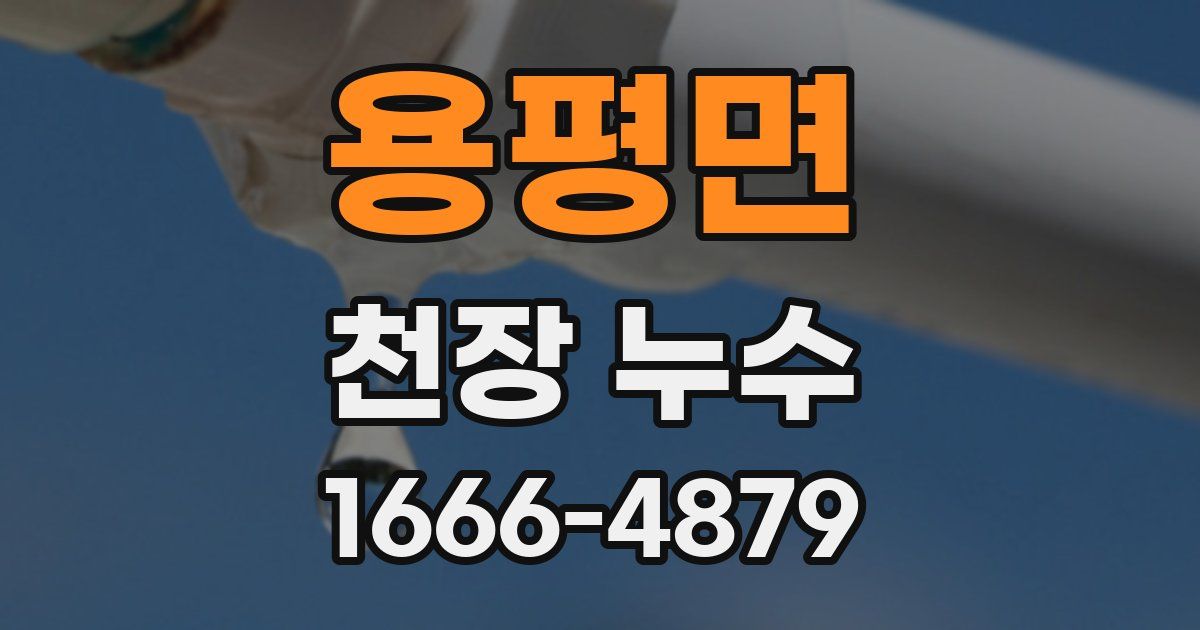 용평면 천장 누수