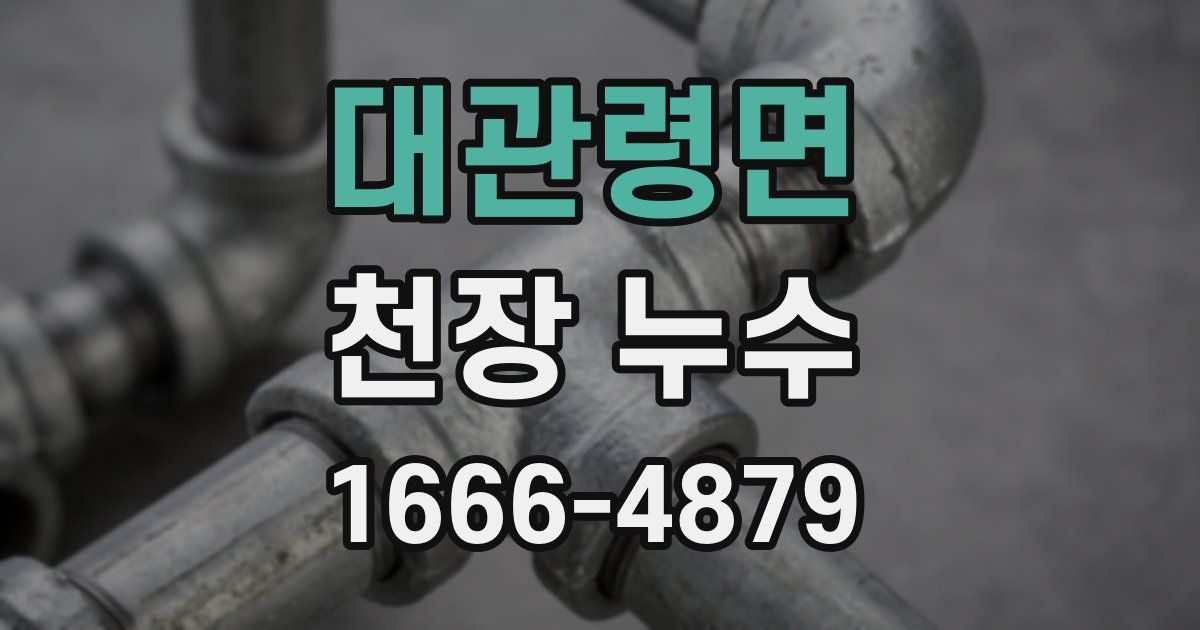 대관령면 천장 누수