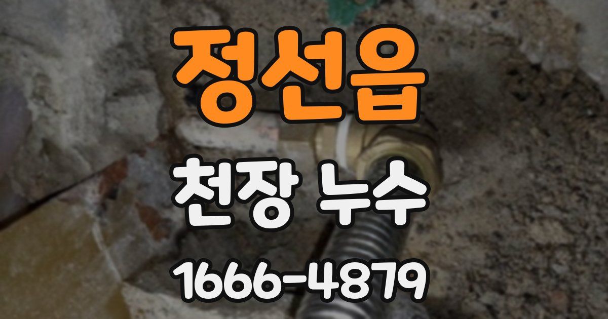 정선읍 천장 누수