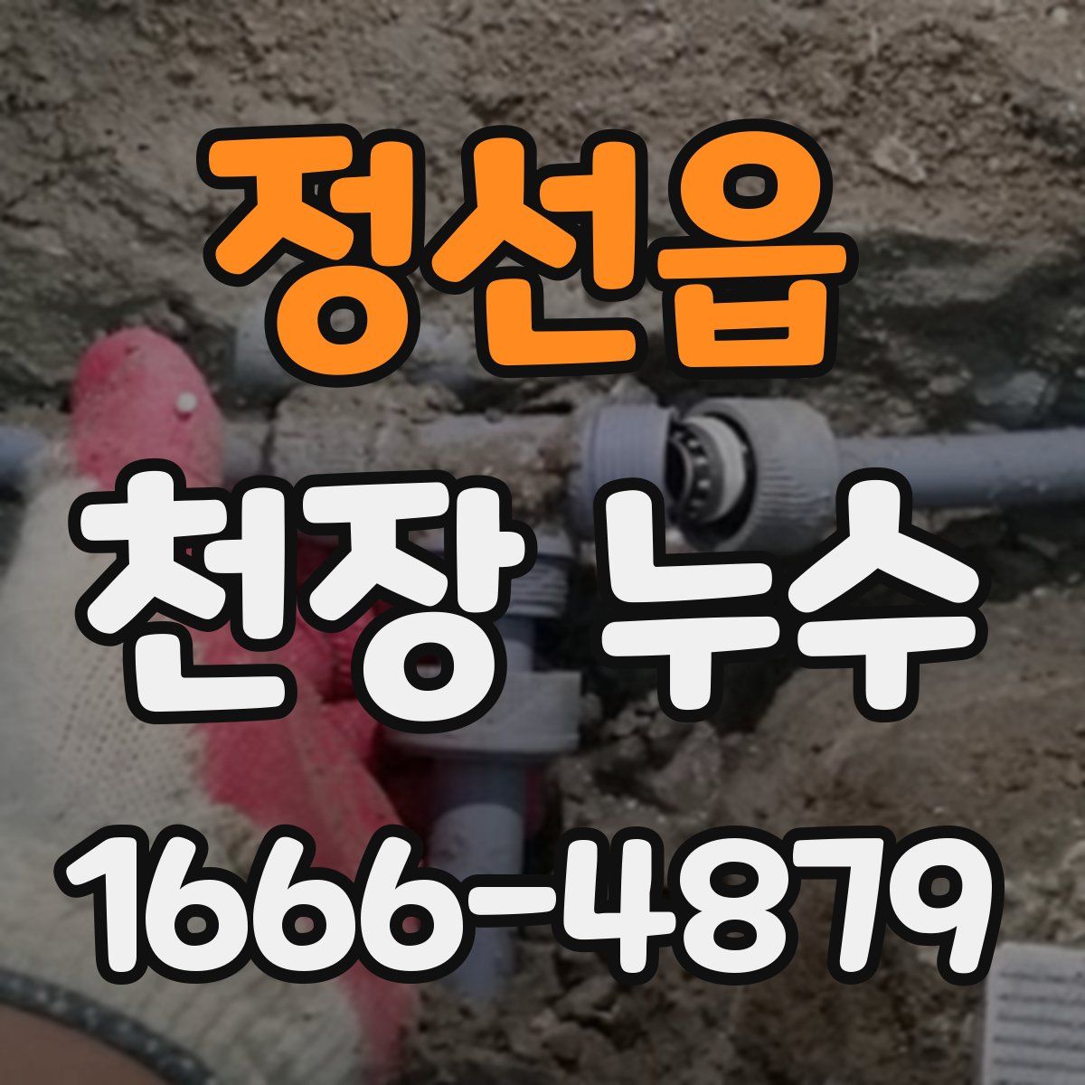 정선읍 천장 누수