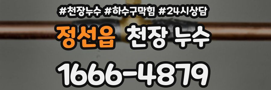 정선읍 천장 누수