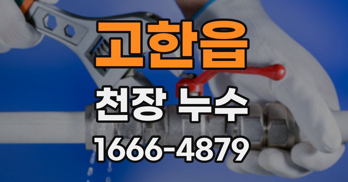 고한읍 천장 누수