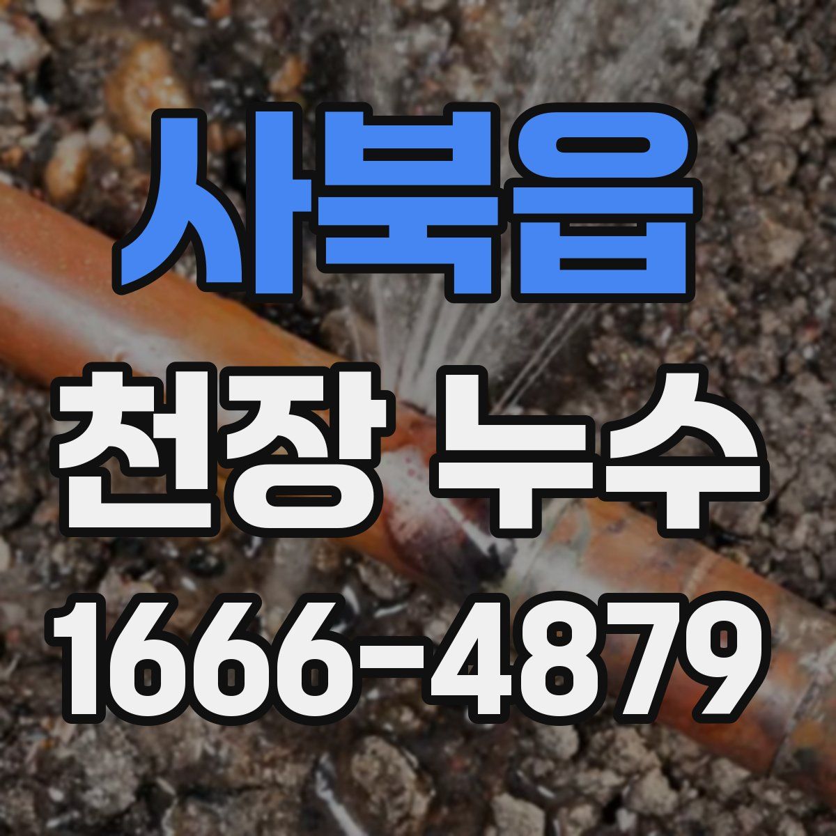 사북읍 천장 누수