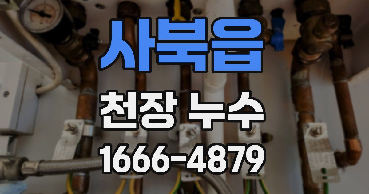 사북읍 천장 누수