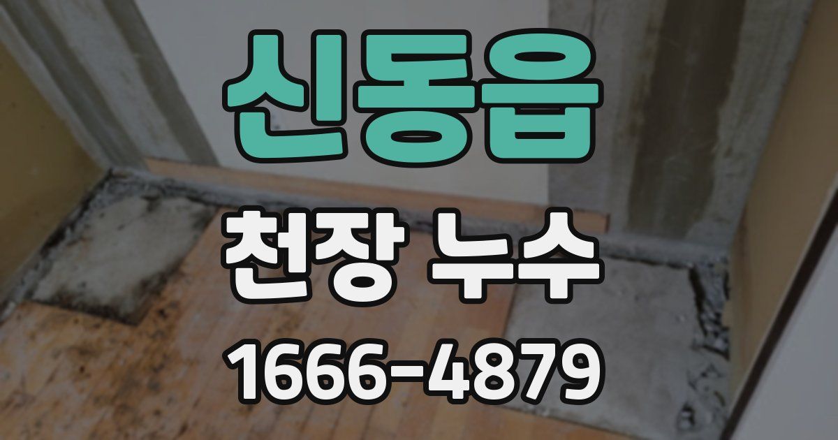 신동읍 천장 누수