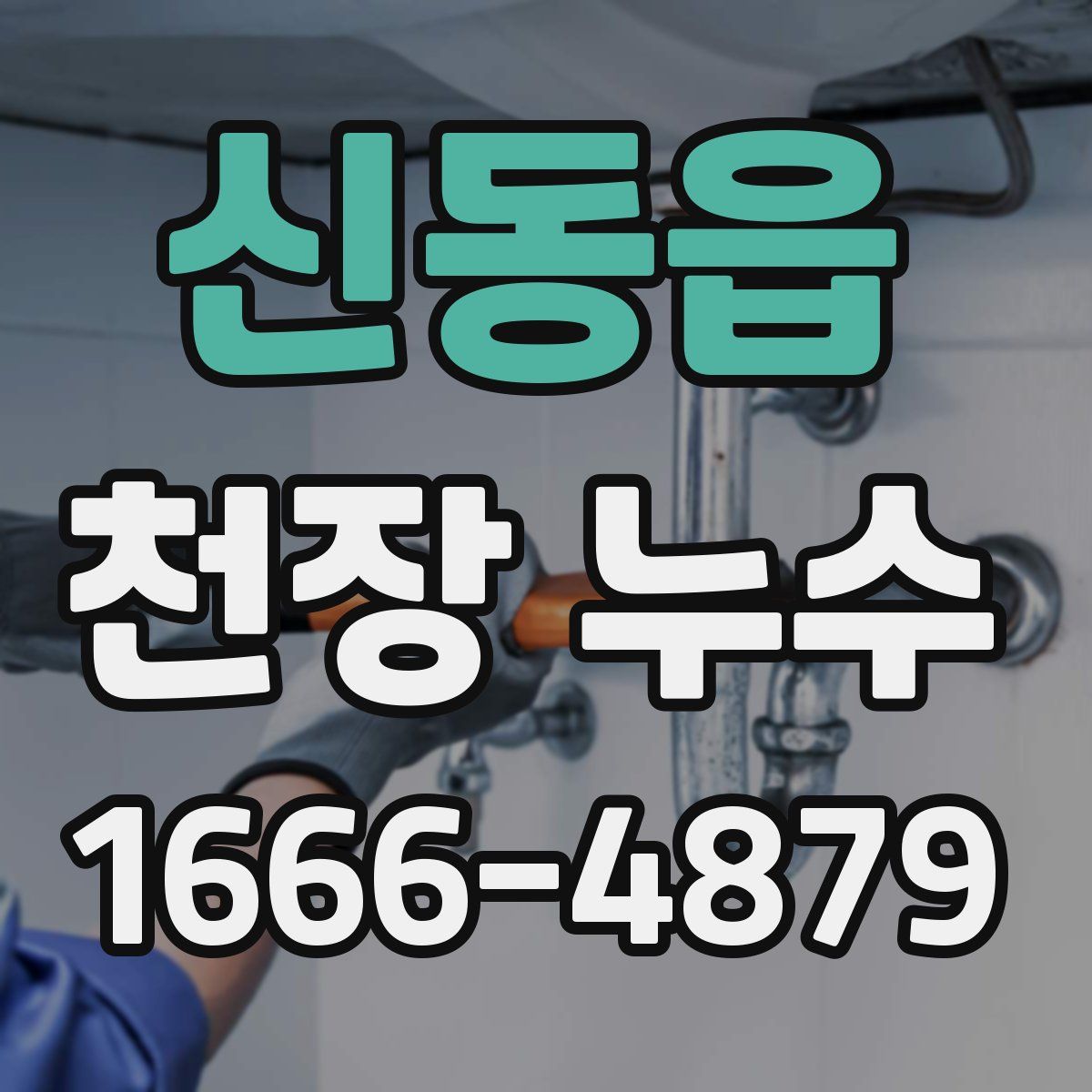 신동읍 천장 누수