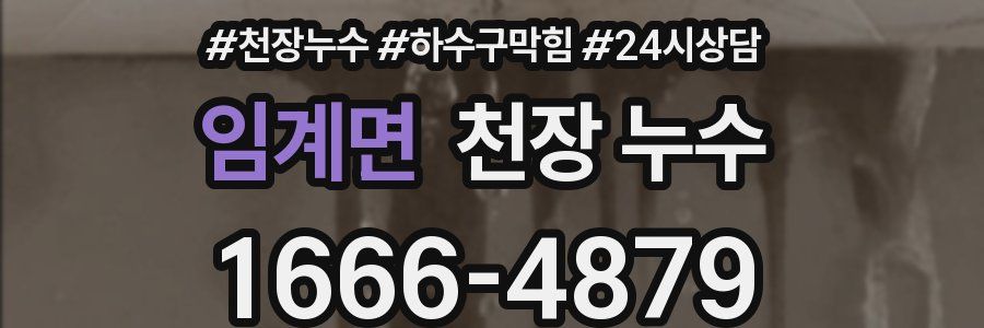 임계면 천장 누수