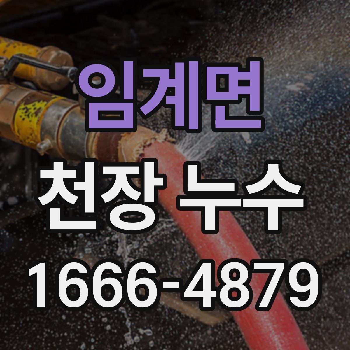 임계면 천장 누수