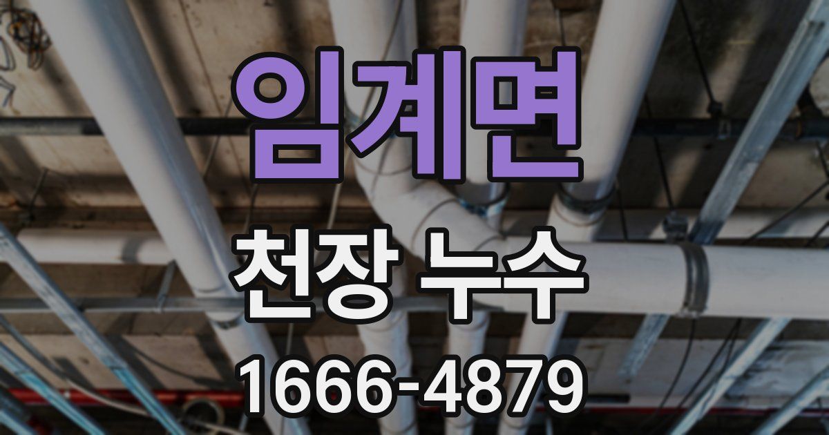 임계면 천장 누수