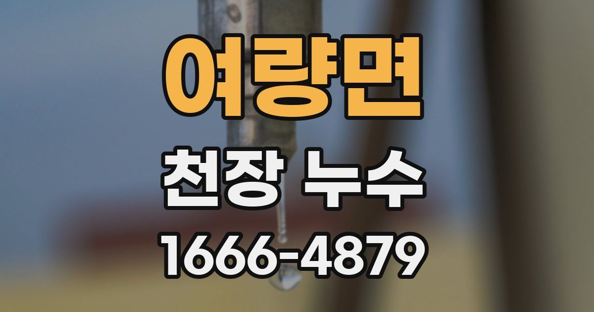 여량면 천장 누수