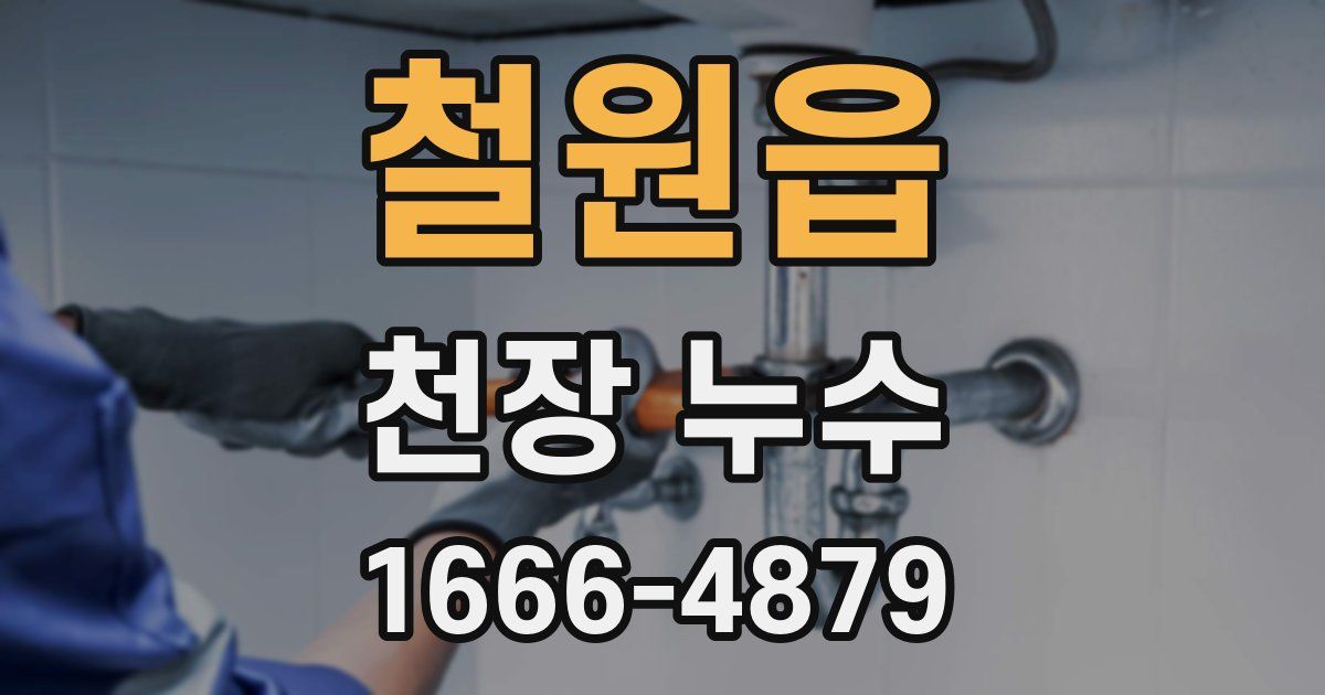 철원읍 천장 누수