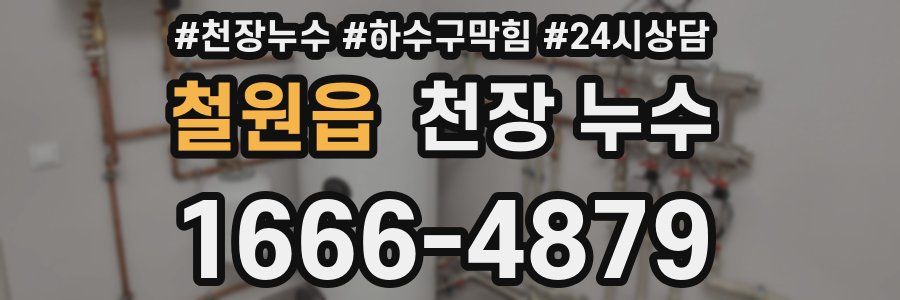 철원읍 천장 누수