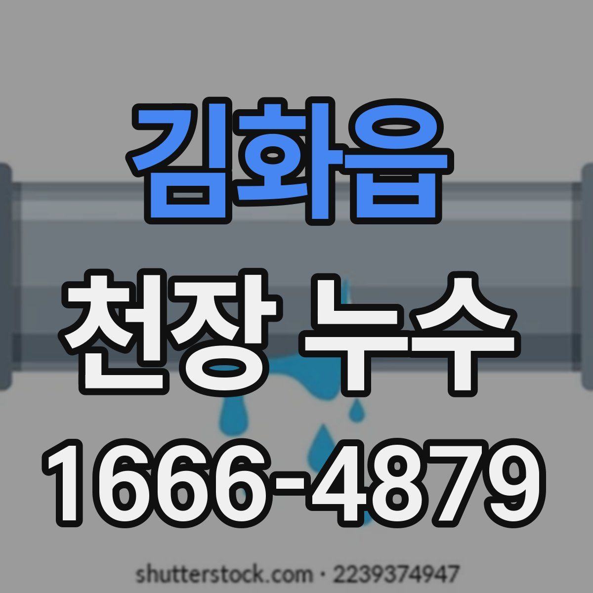김화읍 천장 누수