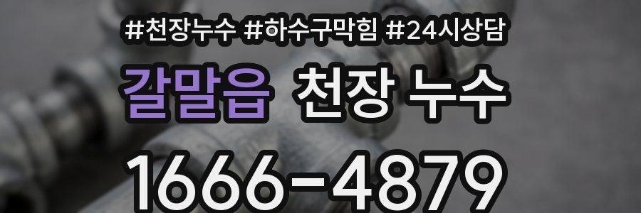 갈말읍 천장 누수