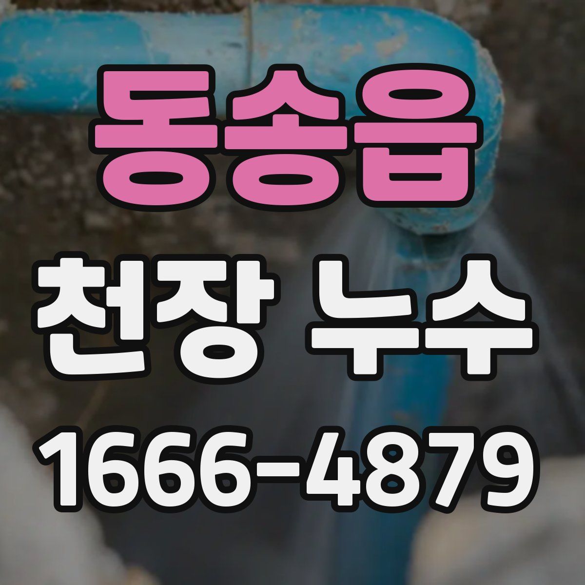 동송읍 천장 누수