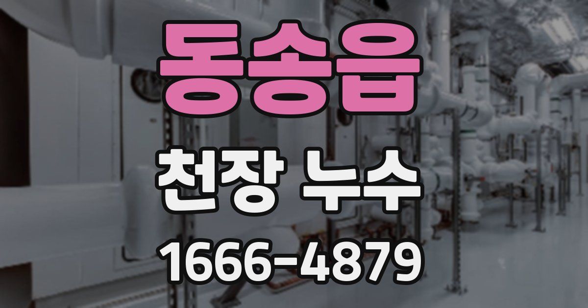 동송읍 천장 누수