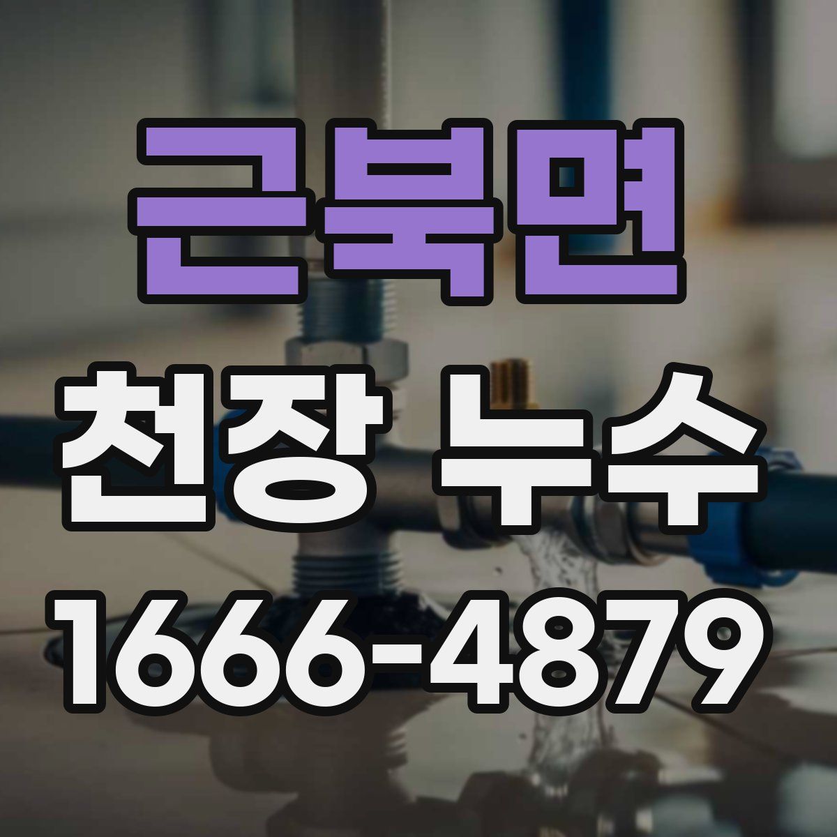 근북면 천장 누수