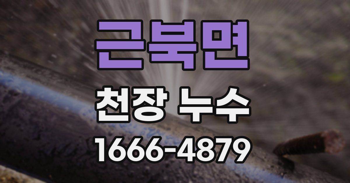 근북면 천장 누수