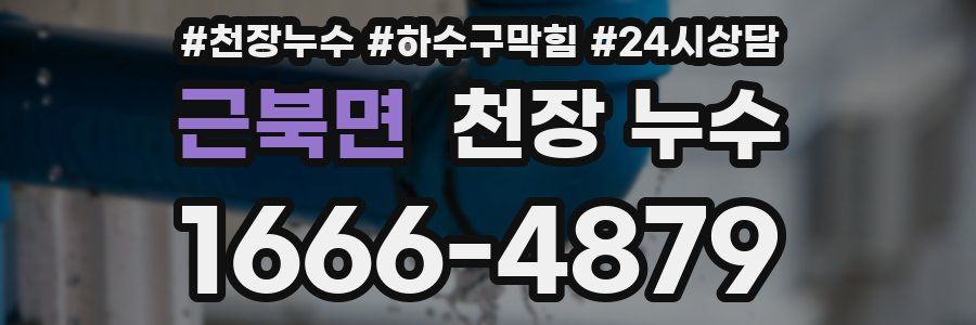 근북면 천장 누수