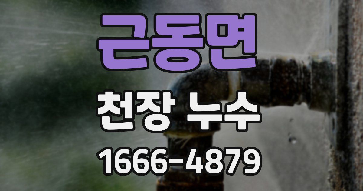 근동면 천장 누수