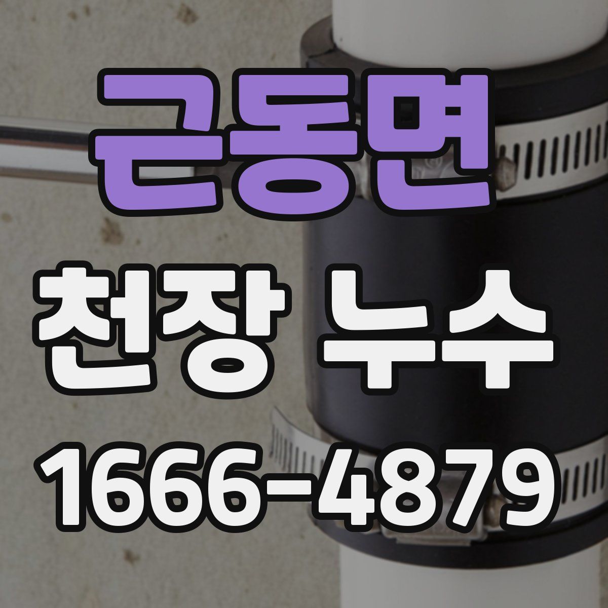 근동면 천장 누수