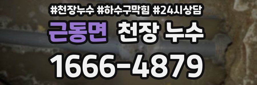 근동면 천장 누수