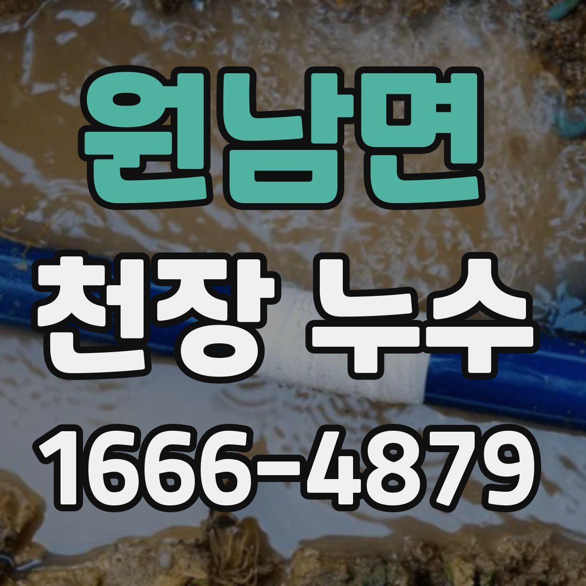 원남면 천장 누수