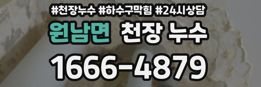 원남면 천장 누수