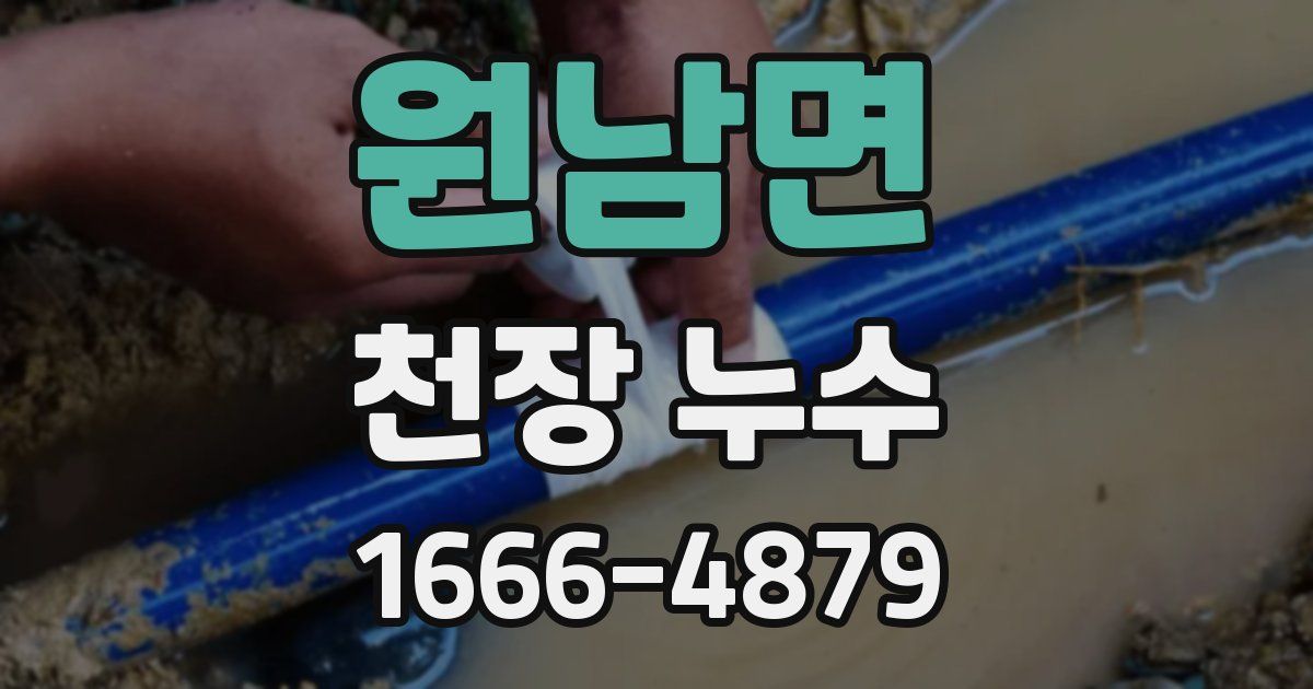 원남면 천장 누수