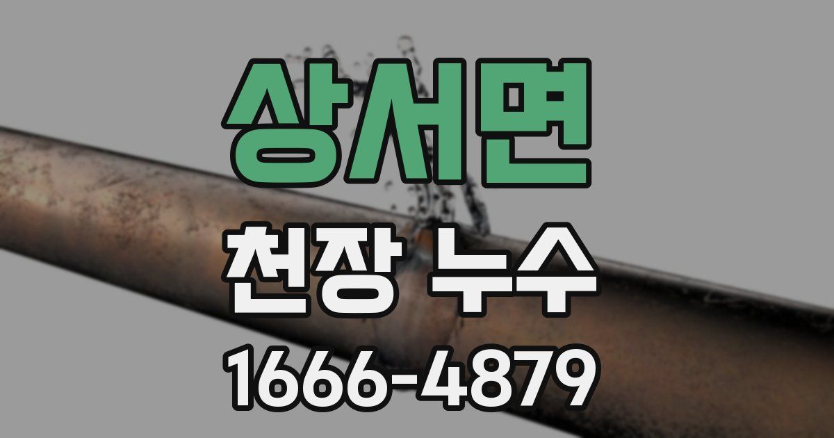 상서면 천장 누수