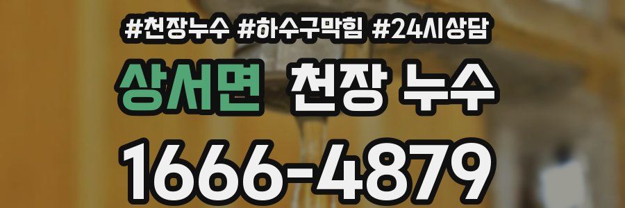 상서면 천장 누수