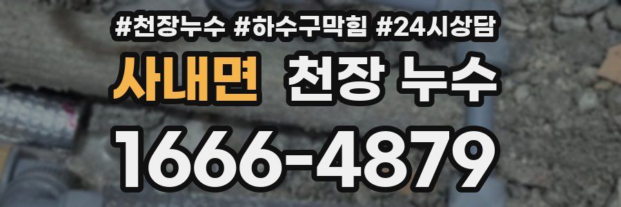 사내면 천장 누수