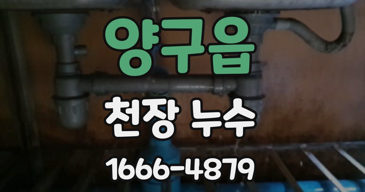 양구읍 천장 누수