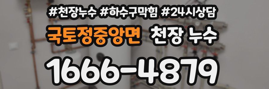 국토정중앙면 천장 누수