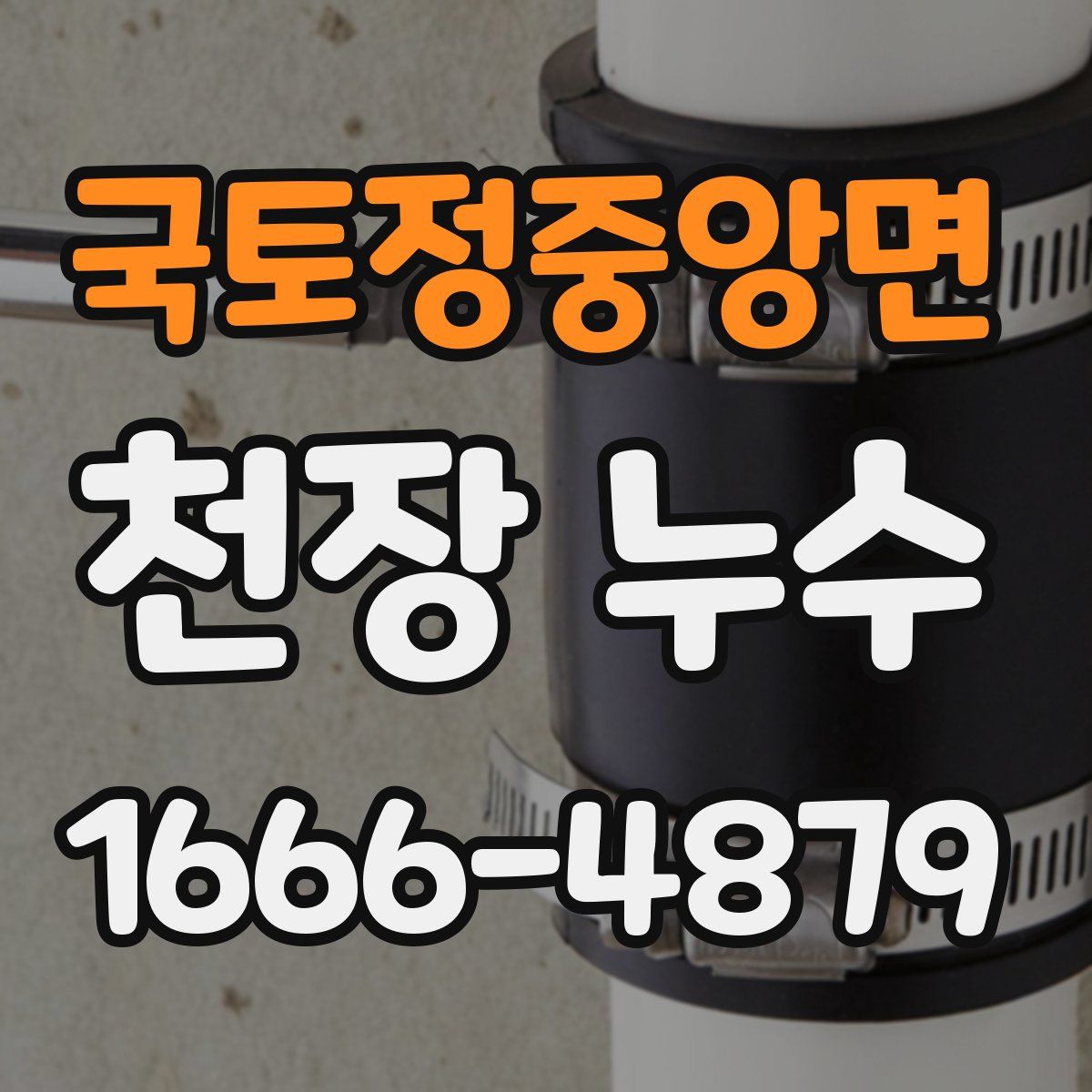 국토정중앙면 천장 누수