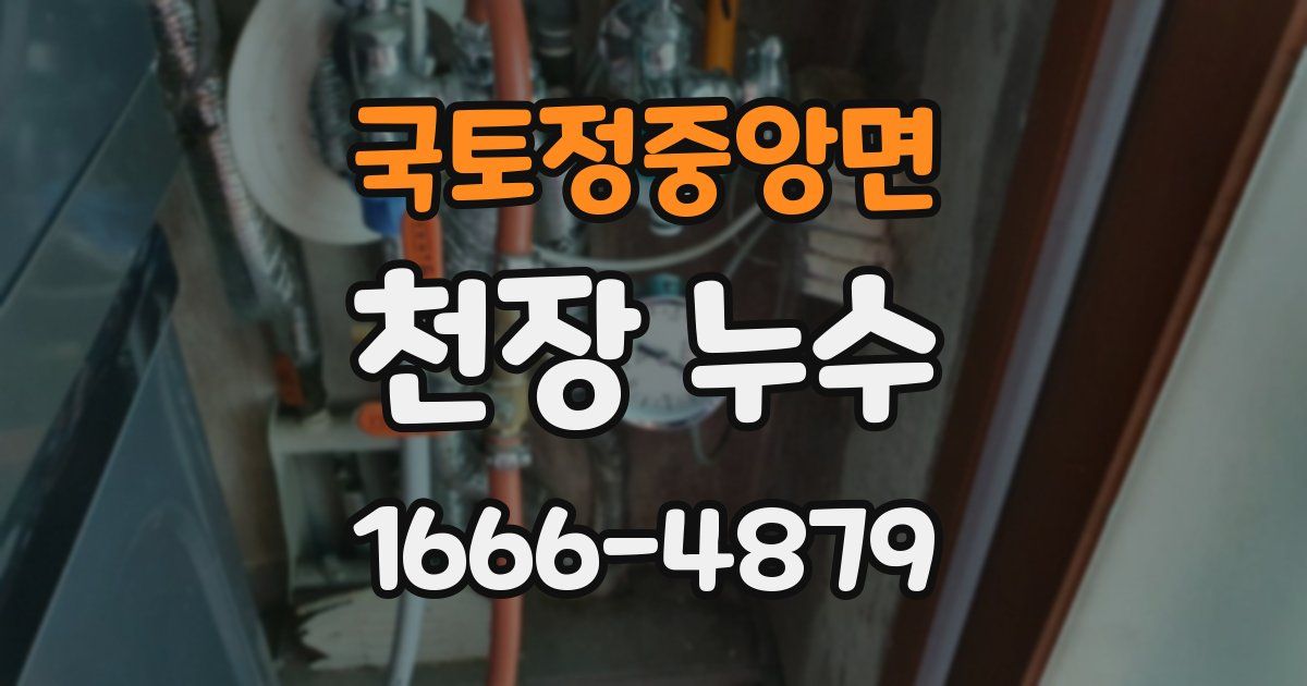 국토정중앙면 천장 누수