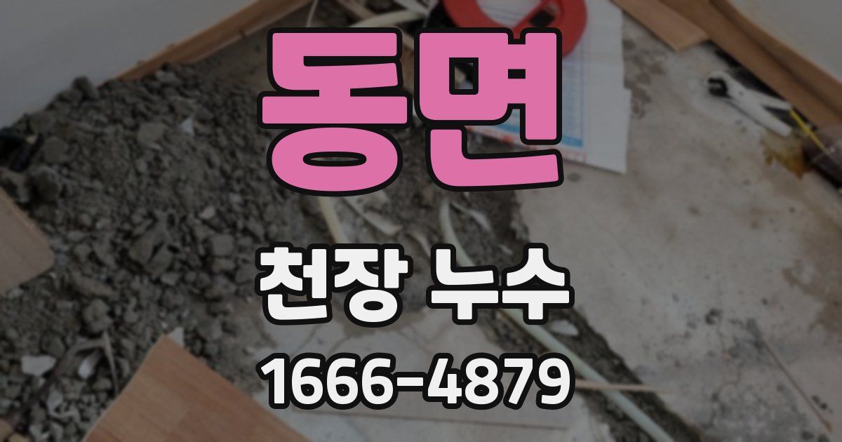 동면 천장 누수