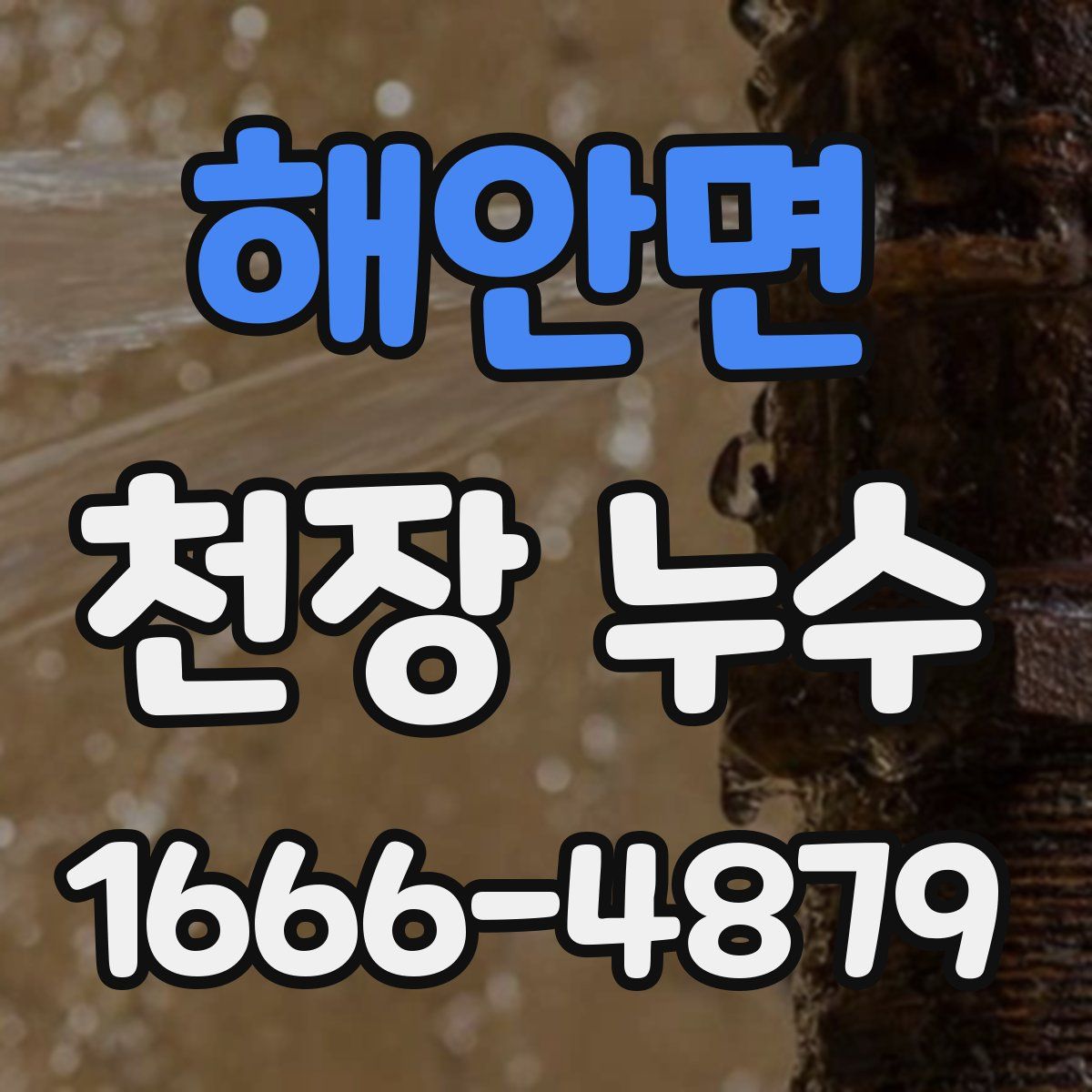 해안면 천장 누수