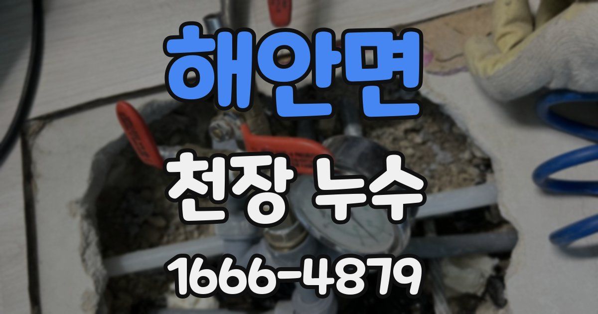 해안면 천장 누수