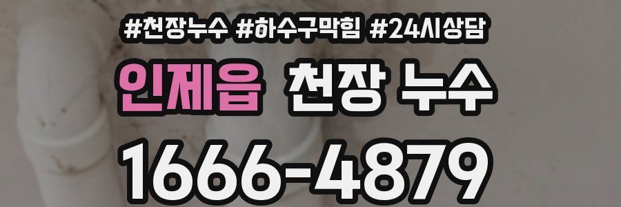 인제읍 천장 누수