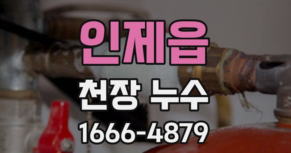 인제읍 천장 누수