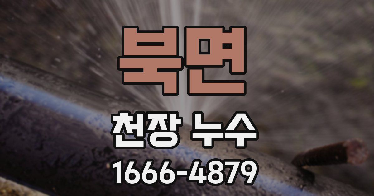 북면 천장 누수