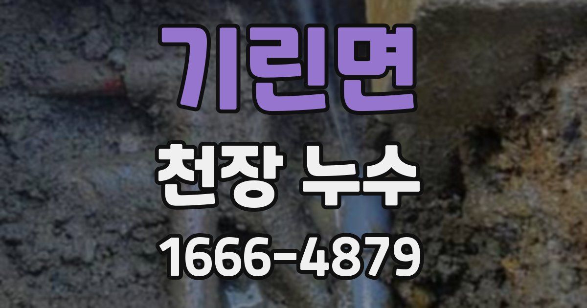 기린면 천장 누수