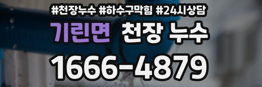 기린면 천장 누수