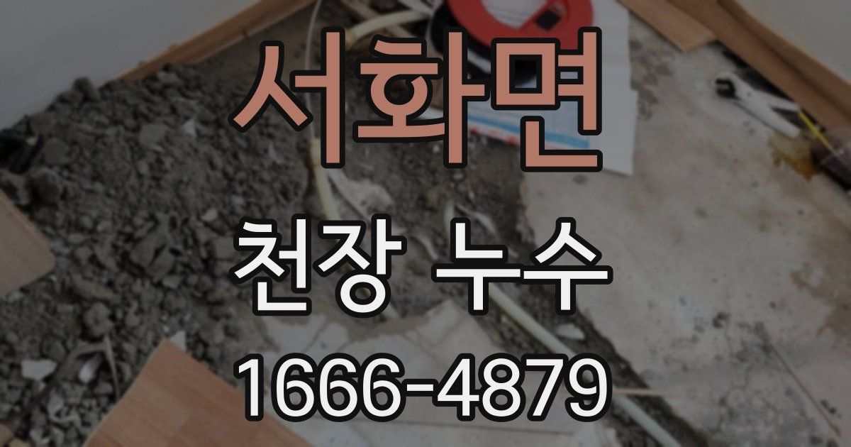 서화면 천장 누수